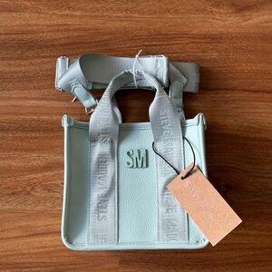 Steve Madden fresh mint bwebber crossbody satchel NWT